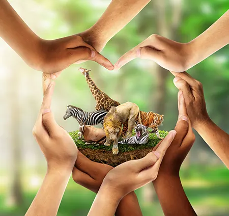 Maßnahmen zum Schutz der Biodiversitat